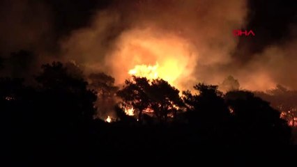 Mersin erdemli'deki yangında 15 hektar çam ormanı küle döndü