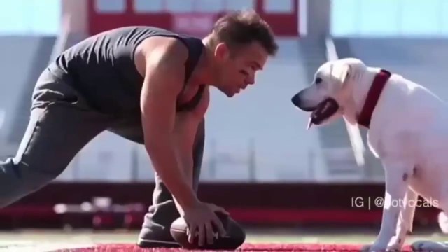 C'est pourquoi nous aimons les chiens