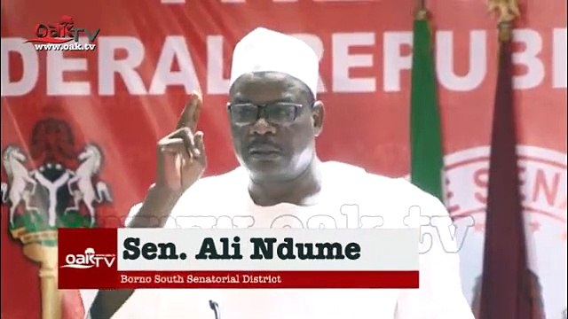 80 percent of Boko Haram fighters are from Borno State