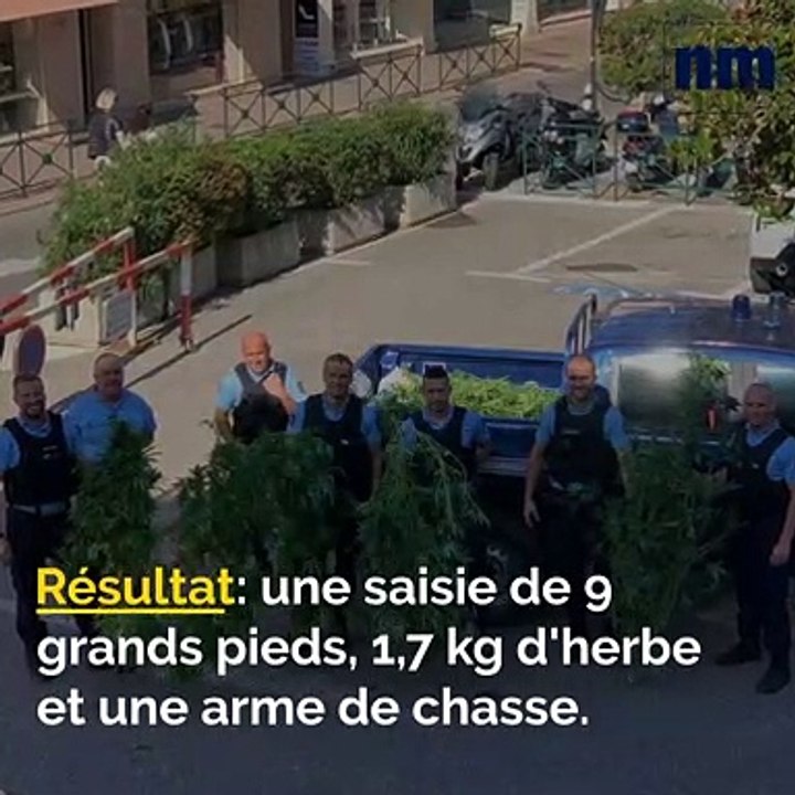 Saisie chanceuse de cannabis, Plus de caméras, De l'aide pour les plus pauvres: voici votre brief de ce mercredi après-midi