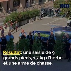 Saisie chanceuse de cannabis, Plus de caméras, De l'aide pour les plus pauvres: voici votre brief de ce mercredi après-midi