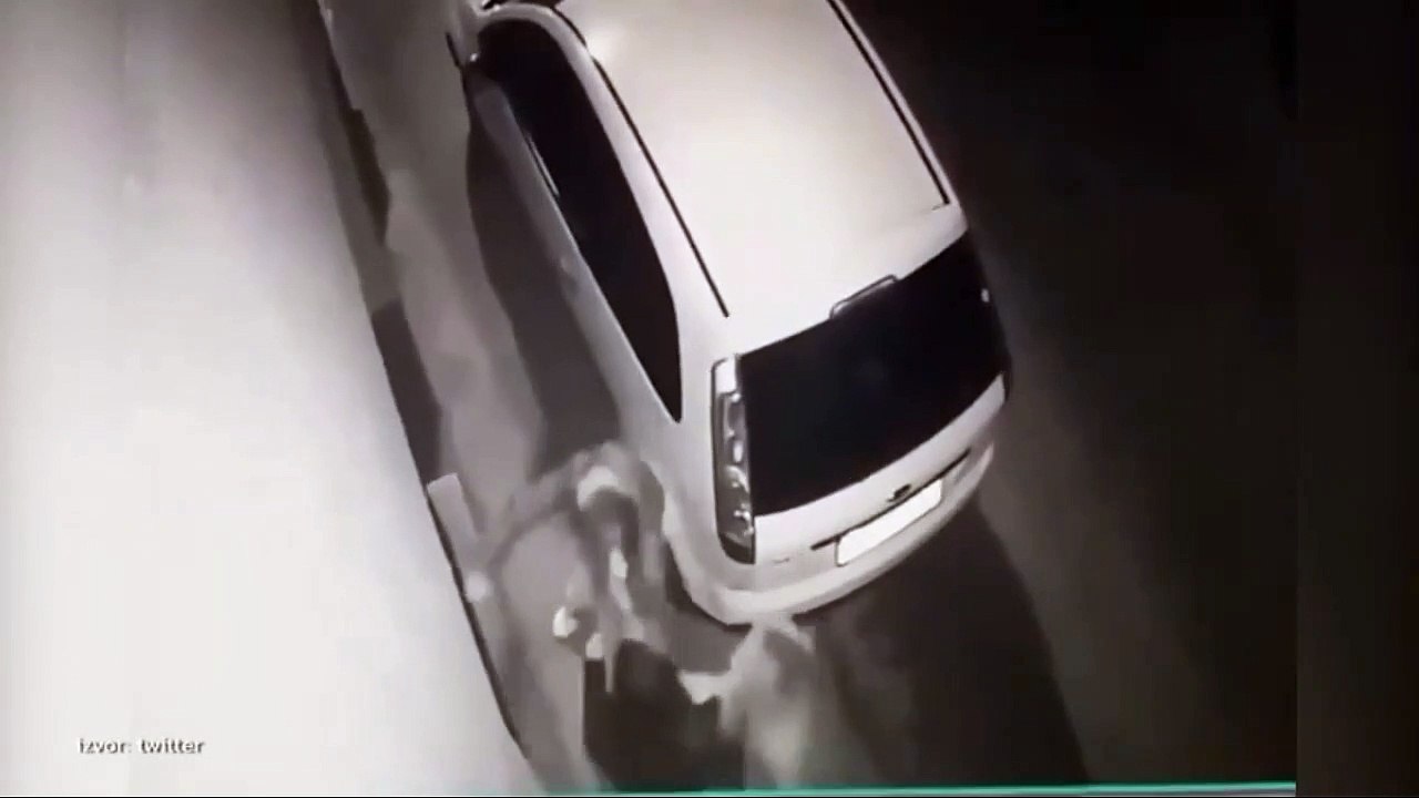 VRŠNJAČKO NASILJE U PANČEVU! Devojčice dave vrš...