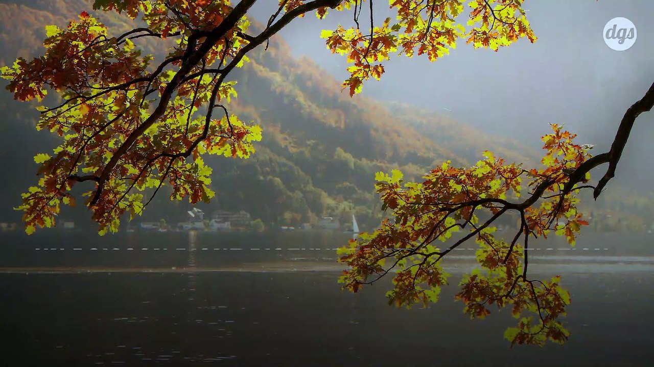 Des poissons à tête de serpent capables de vivre hors de l'eau menacent l'écosystème aux États-Unis