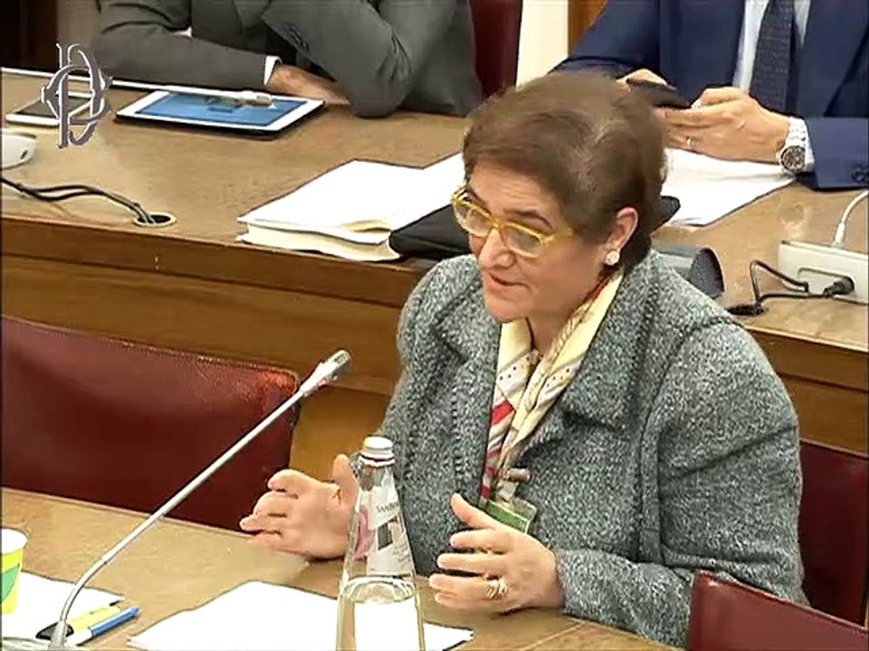 Roma - Cura delle malattie rare, audizione di esperti (16.10.19)