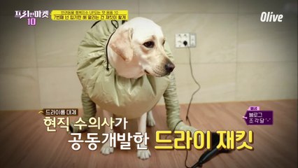 댕냥이는 입기만 해 말리는 건 재킷이 할게 [반려동물 행복지수 UP되는 펫 용품 10]