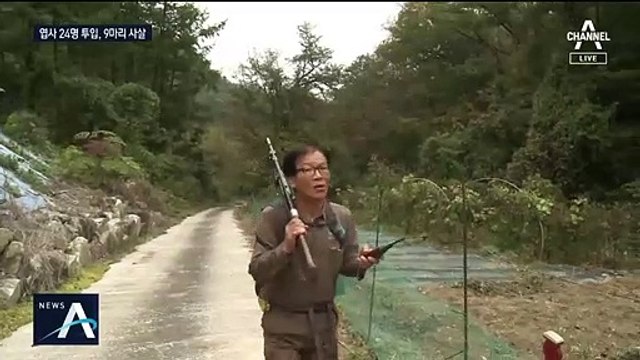 엽사 24명 투입해 9마리 사살…멧돼지 사냥 효과 의문
