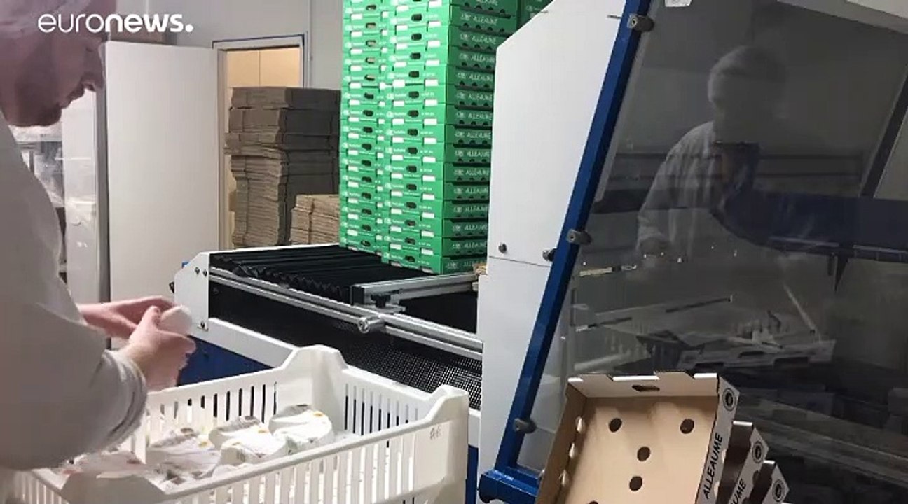 Brand in Chemiefabrik in Rouen hat schwerwiegende Folgen