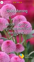 watsapp status video malayalam