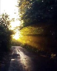 watsapp status video malayalam