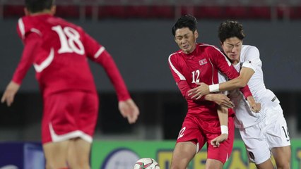 평양원정 축협 직원 "축구인가 싶을 정도의 강한 몸싸움" / YTN