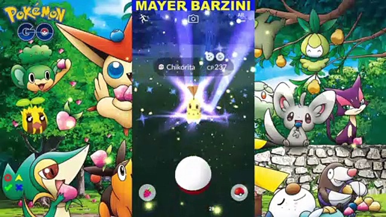 Pokémon GO SHINY CHIKORITA  Pokémon # 152