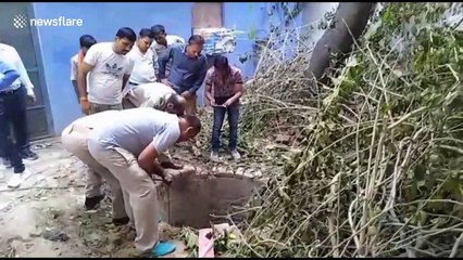 Firefighters rescue bull from 40ft well in India