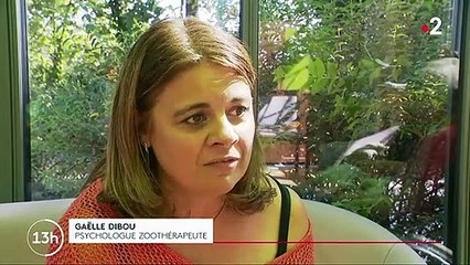 Zoothérapie : les animaux, de véritables compagnons de santé