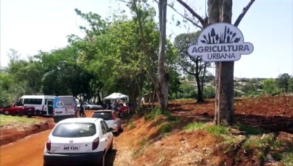 Agricultura Urbana: projeto mobiliza famílias a horta na Região Norte
