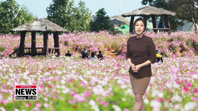 Temperature recovers back to seasonal norms