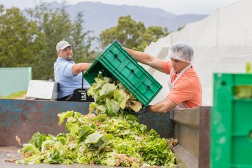 Nearly Half of Food Waste Happens Before It Reaches the Market