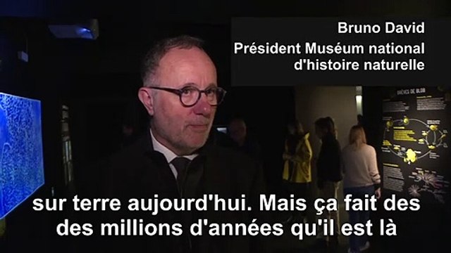 Une étrange créature s'expose à Paris, le blob