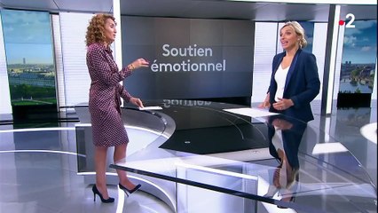 États-Unis : les animaux de soutien émotionnel, un statut particulier