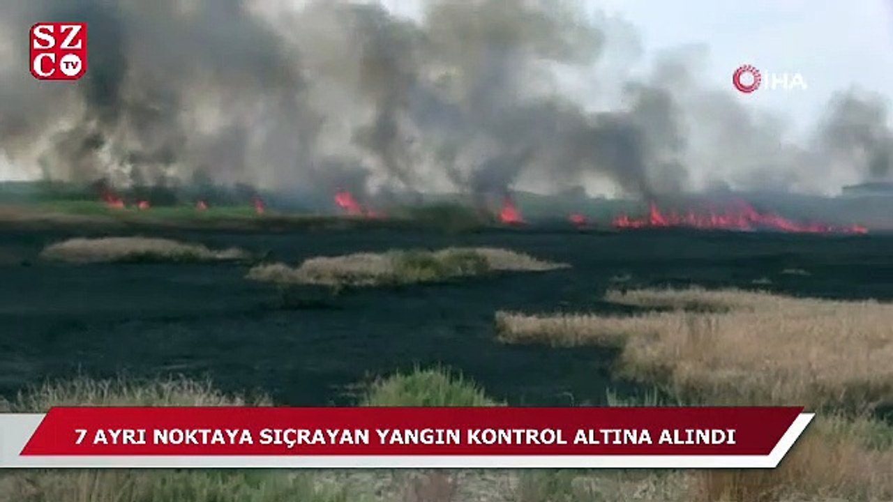 Hatay'da sazlık yangını