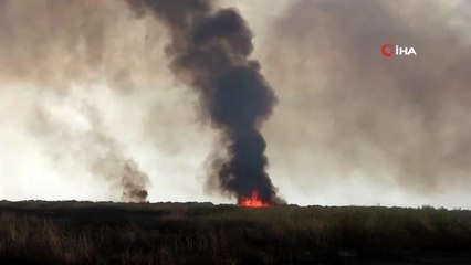 Hatay'da sazlık yangını