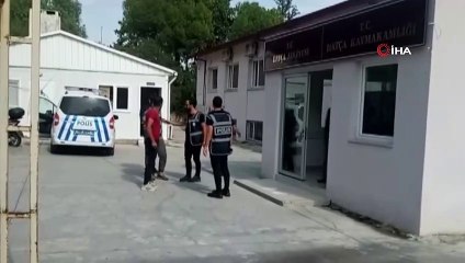 Didim'den gelip, Datça'da 3 teknenin motorunu çaldılar
