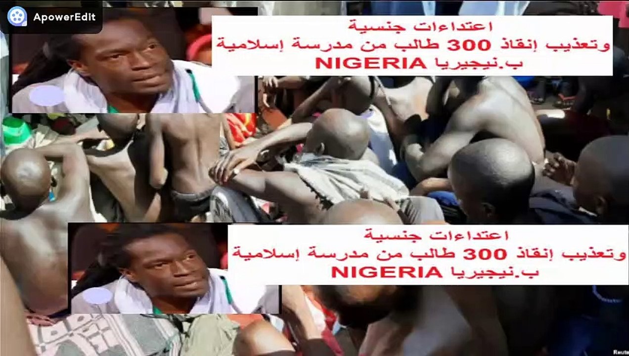 Arabs are a fool of fools  ! العرب احمق من الحقم