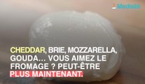 Le fromage est-il lié au cancer du sein ? Les médecins sonnent l'alerte !