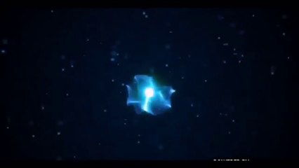 SIVA MANI PLAY DRUMS MAGICAL MUSIC LIVE SHOW