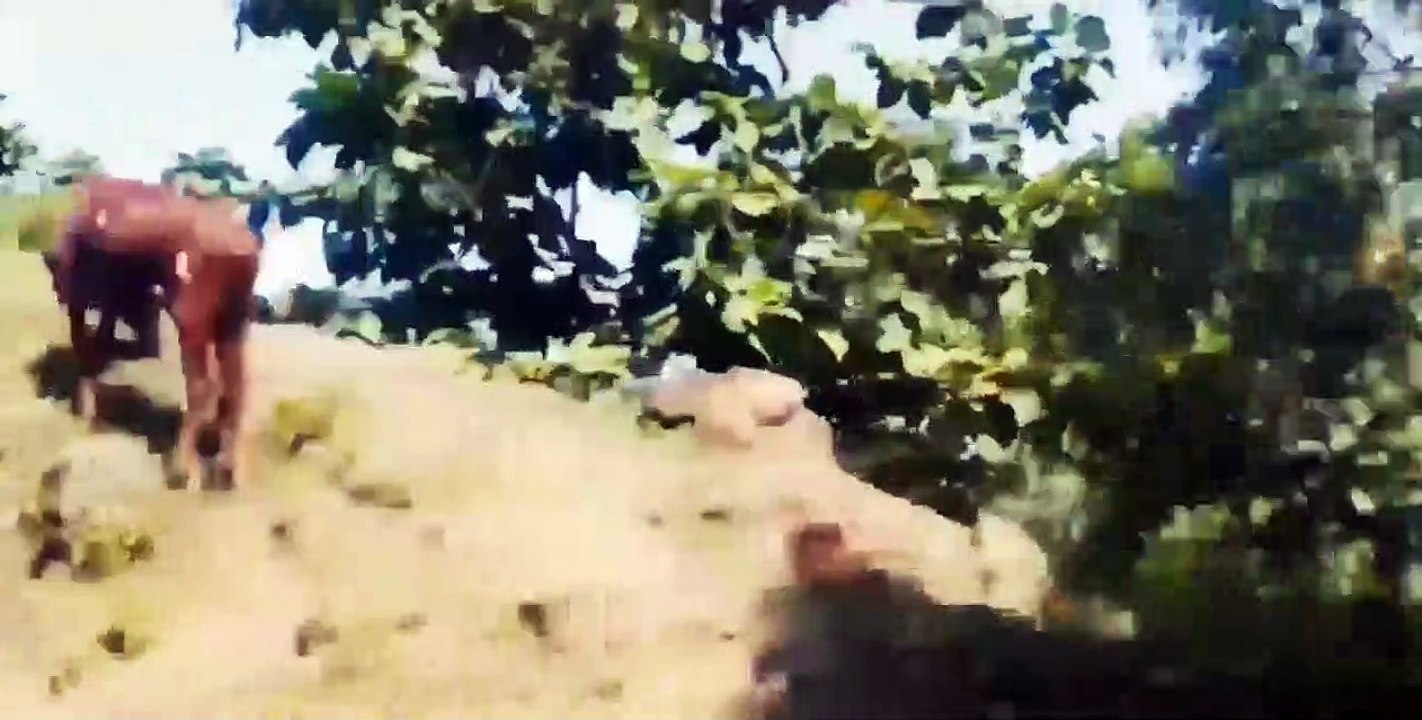 Short film| Nagalwadi |Bhilatdev| नागलवाडी भिलटदेव | king of Nimad| tourist place|Madhya pradesh| india|