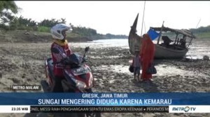 Aliran Bengawan Solo Surut Akibat Kemarau