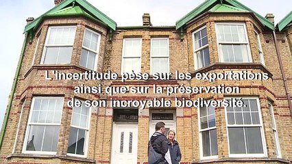 Même à 12.000 km, les Malouines redoutent les conséquences du Brexit