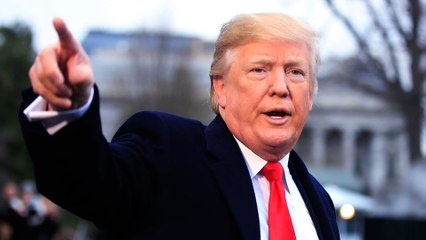 هل تراجع ترامب عن ضوئه الأخضر فعلا.. وما الذي ستخسره تركيا؟ - تفاصيل | سوريا