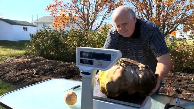 16 oct PG Record navet - topo HD WEB