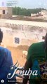 Magal 2019: Wally Seck offre des dizaines de boeufs  à Touba