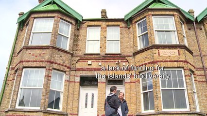 Brexit concerns blow a gale over nervy Falklands