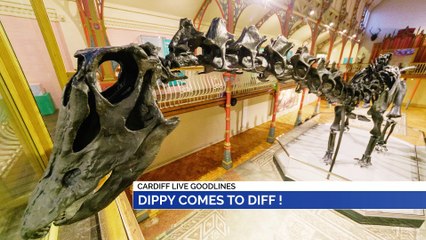 GOODLINES: 19th October 2019