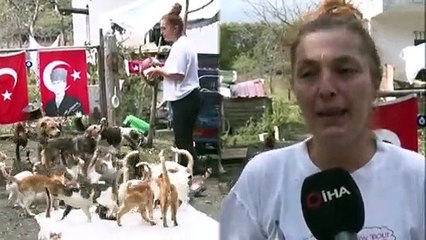 Hayvanlar Yüzünden Şehri Terk Edip Ormana Yerleşti