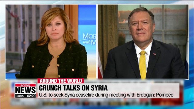 U.S. to seek Syria ceasefire during meeting with Erdogan: Pompeo
