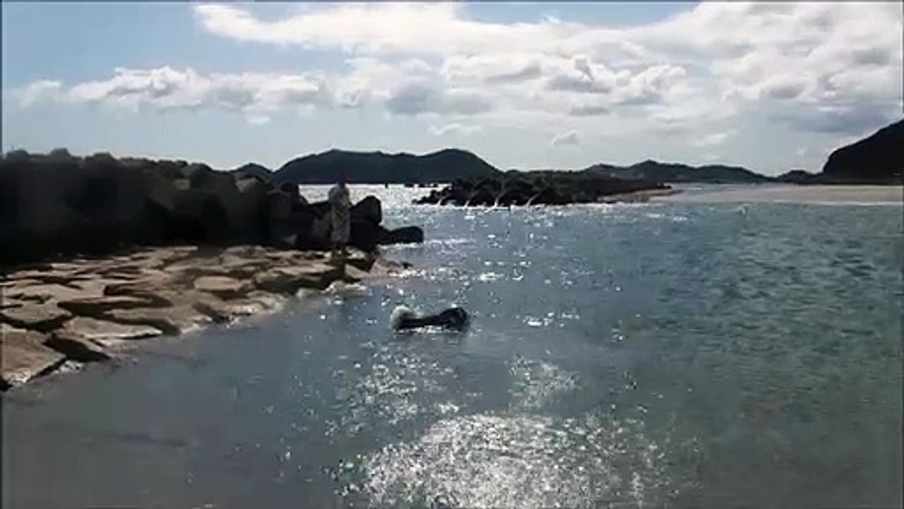 竜宮の磯