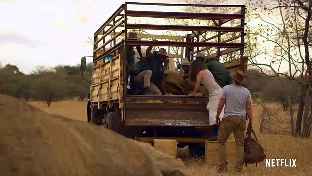 Weihnachten in der Wildnis Film