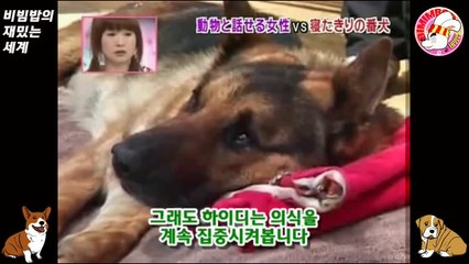 17★[랜디] 원인불명의 병에 걸린 경찰견