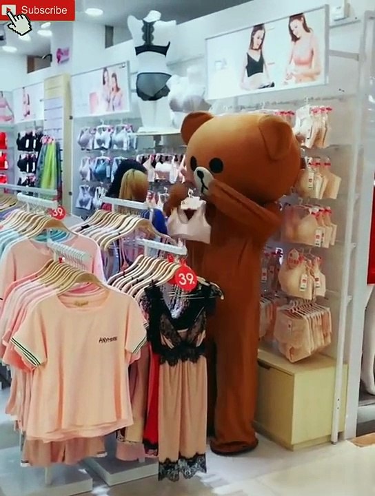 funny videos