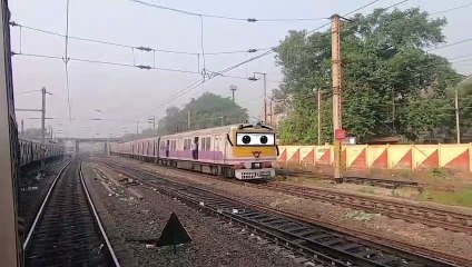 Train Race 2.0 The funny race The rail doodles