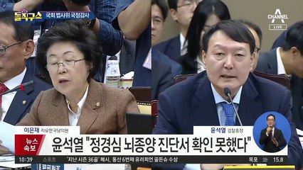 윤석열 “법과 원칙 따라 충실히 할 따름”