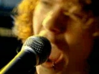 Killerpilze - Springt Hoch