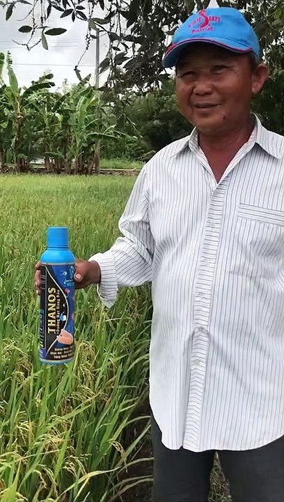 San phẩm cv