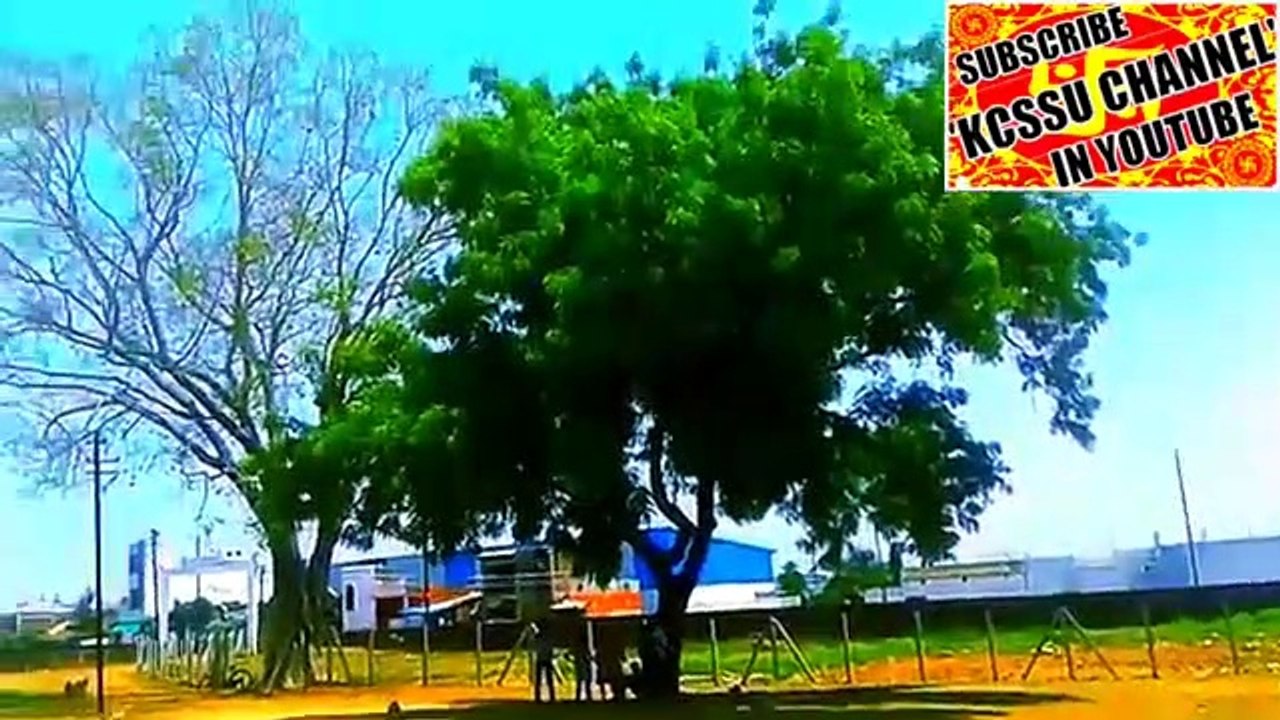 श्रीकृष्ण गौशाला  - gondia, - गोंदिया - Tirora,- Tumsar, - Amgaon, - kcssu entertainment, ( 360 X 640 )
