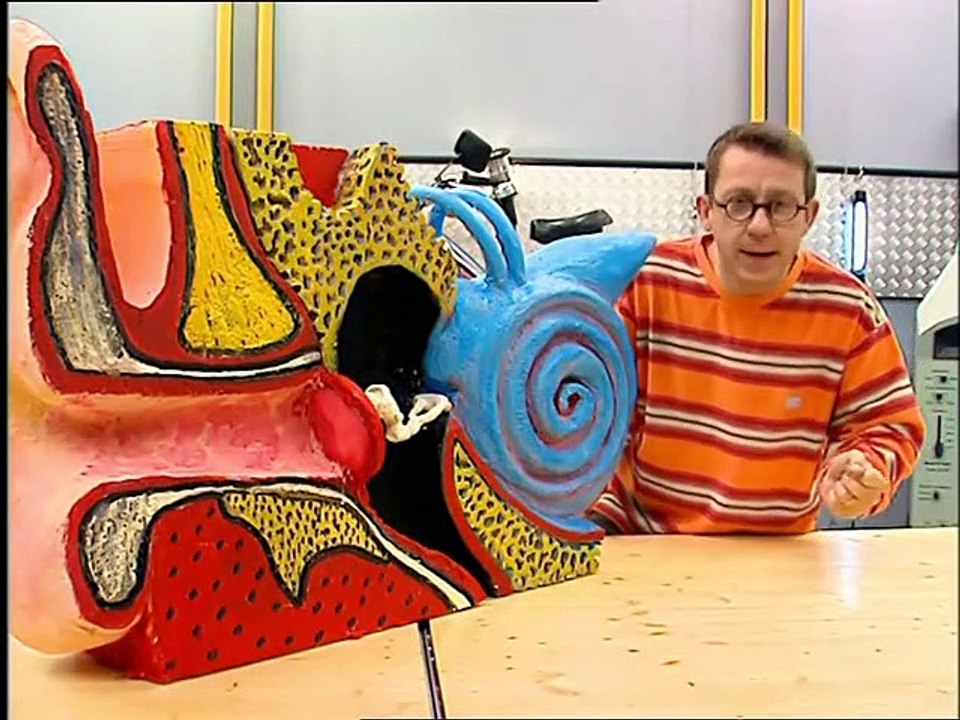 cest pas sorcier ouie