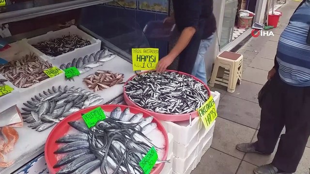 Karadeniz'de hamsi bolluğu