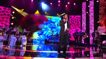 Video - DƯỚI GIÀN HOA CŨ (Trần Thái Hòa)